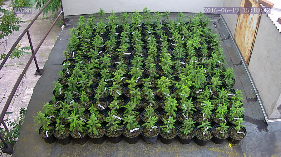 jurgen_ostarhild_144_20160619