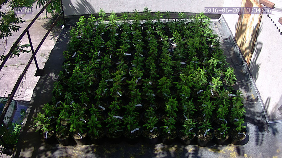 jurgen_ostarhild_144_20160620