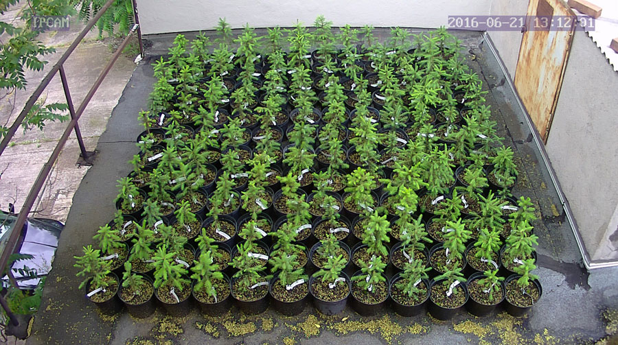 jurgen_ostarhild_144_20160621