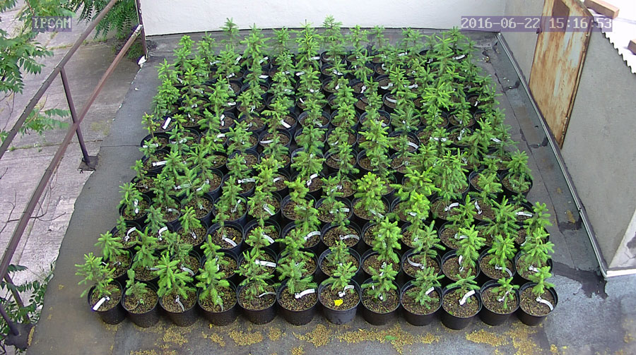 jurgen_ostarhild_144_20160622