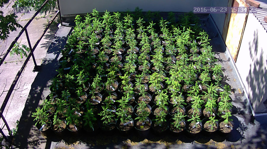 jurgen_ostarhild_144_20160623