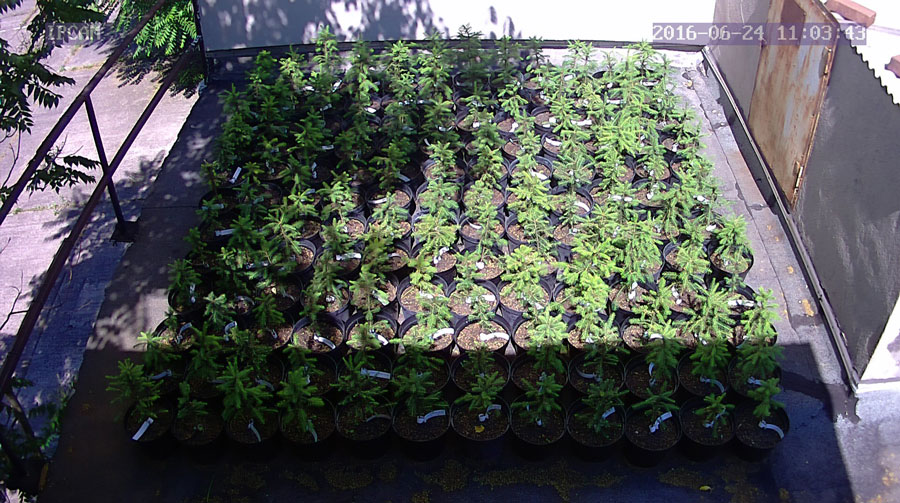 jurgen_ostarhild_144_20160624