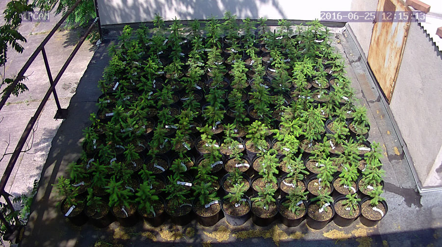 jurgen_ostarhild_144_20160625