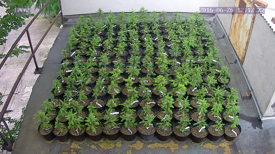 jurgen_ostarhild_144_20160626