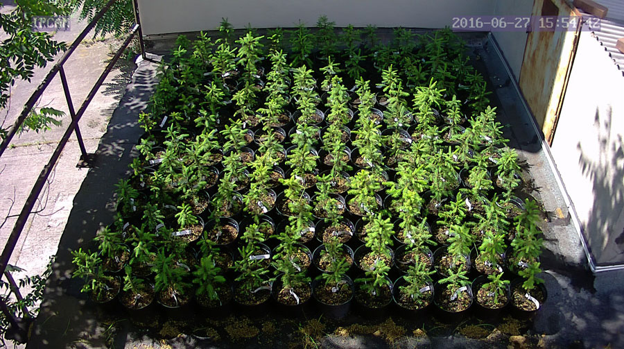 jurgen_ostarhild_144_20160627