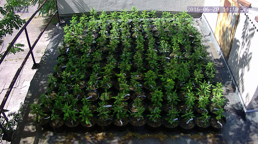 jurgen_ostarhild_144_20160628