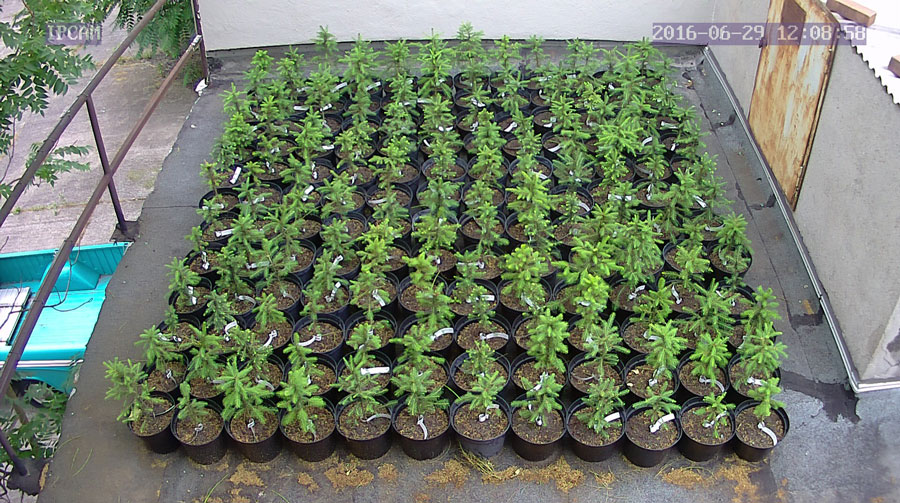 jurgen_ostarhild_144_20160629