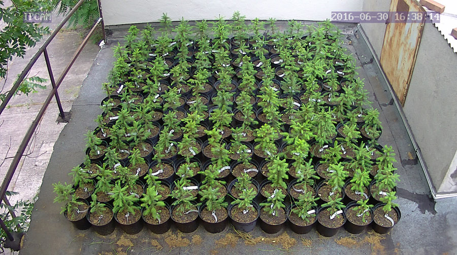 jurgen_ostarhild_144_20160630