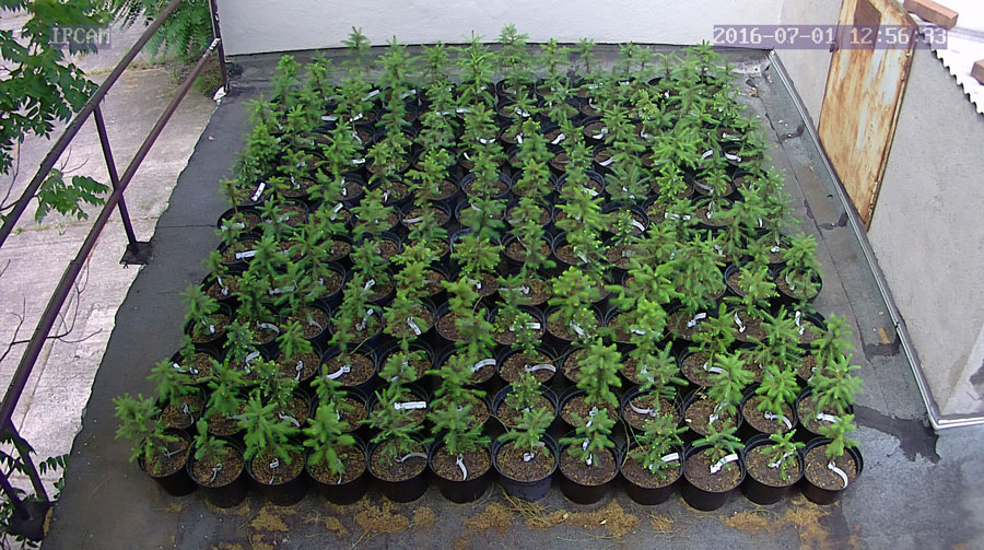 jurgen_ostarhild_144_20160701