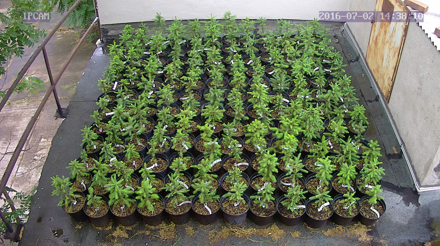 jurgen_ostarhild_144_20160702