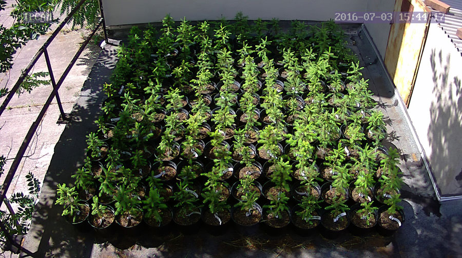 jurgen_ostarhild_144_20160703