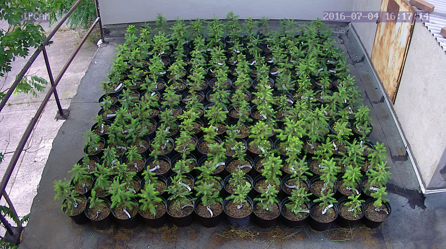 jurgen_ostarhild_144_20160704