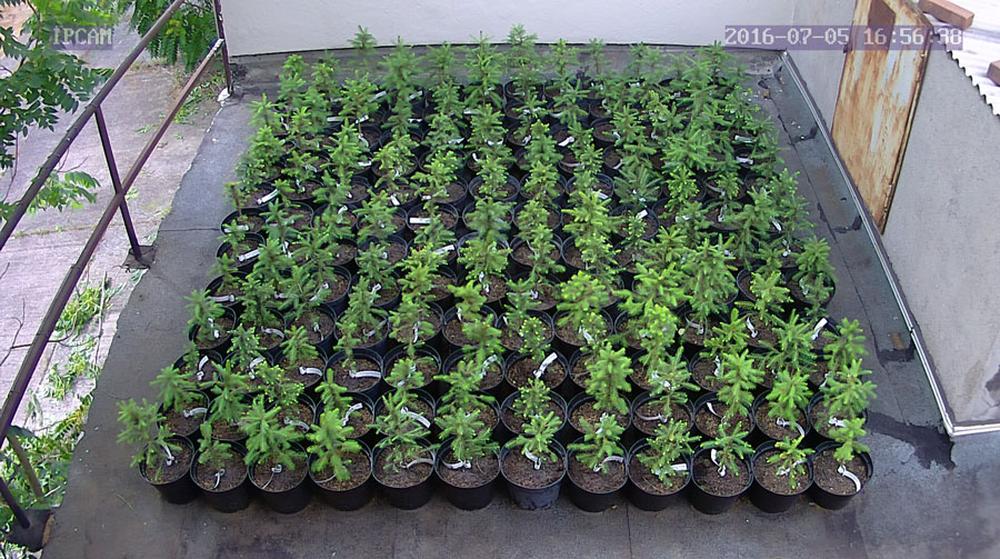 jurgen_ostarhild_144_20160705