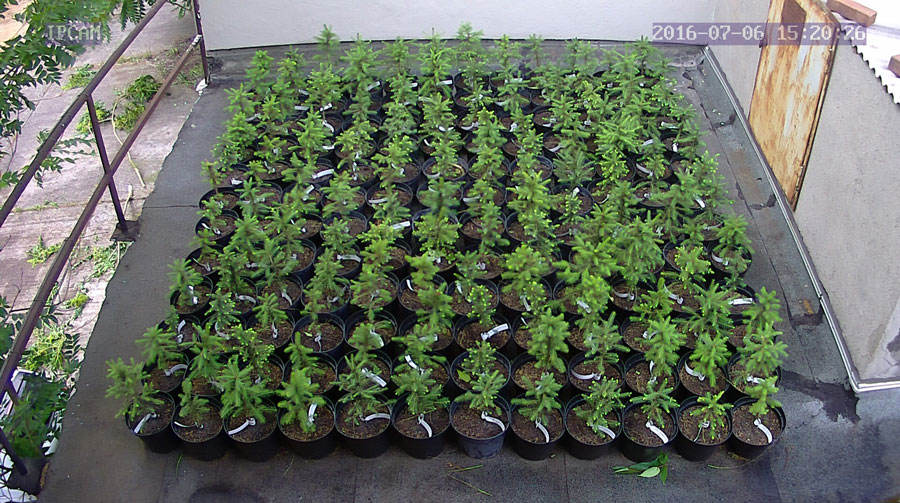 jurgen_ostarhild_144_20160706