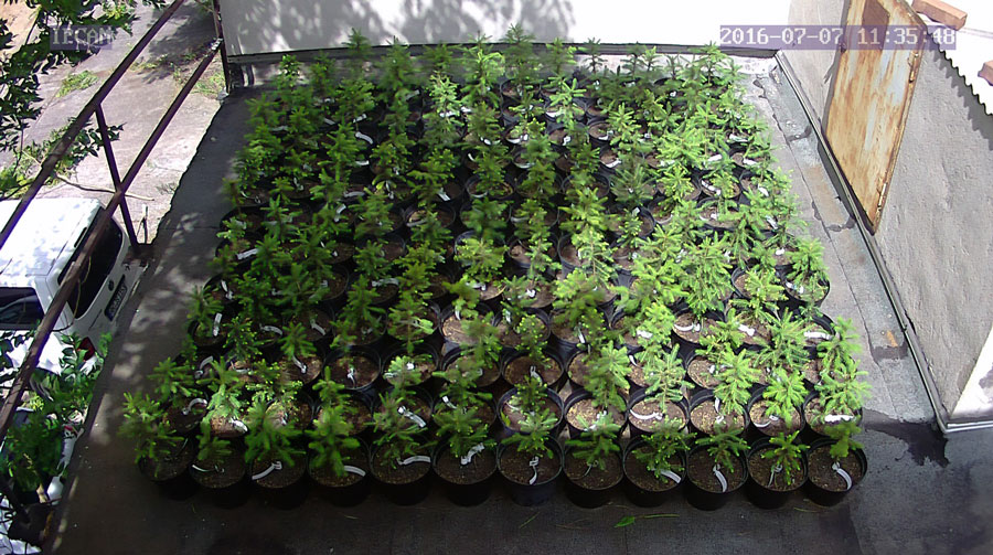 jurgen_ostarhild_144_20160707