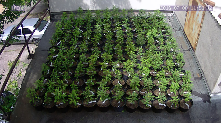 jurgen_ostarhild_144_20160708