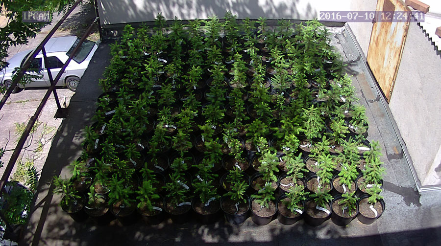 jurgen_ostarhild_144_20160710