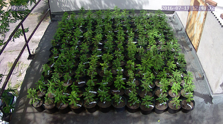 jurgen_ostarhild_144_20160711