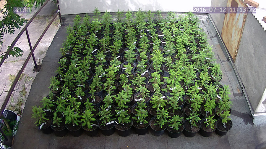 jurgen_ostarhild_144_20160712