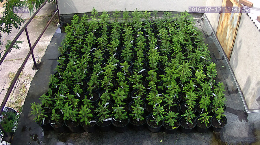 jurgen_ostarhild_144_20160713