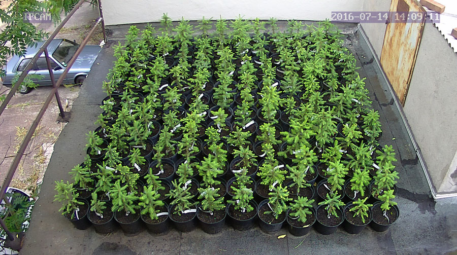 jurgen_ostarhild_144_20160714