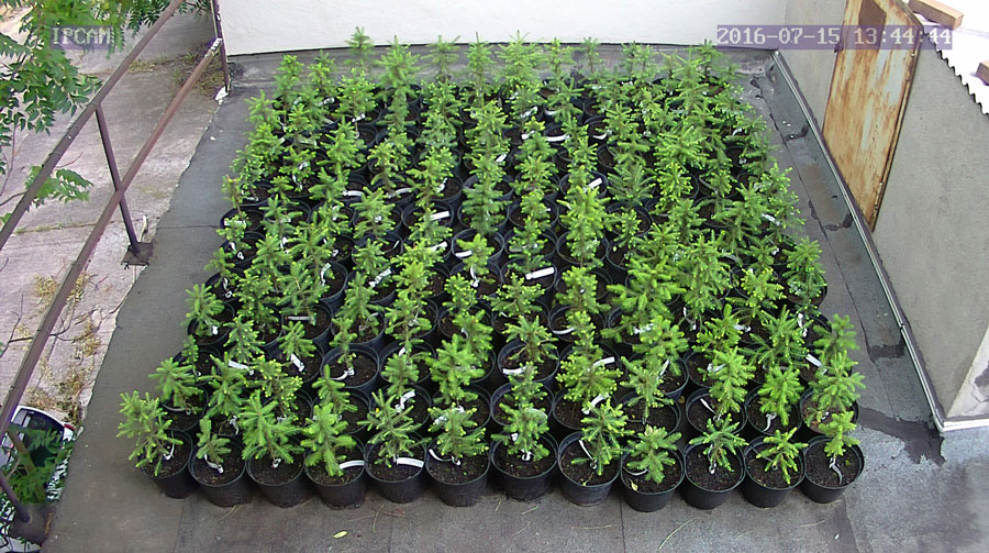 jurgen_ostarhild_144_20160715