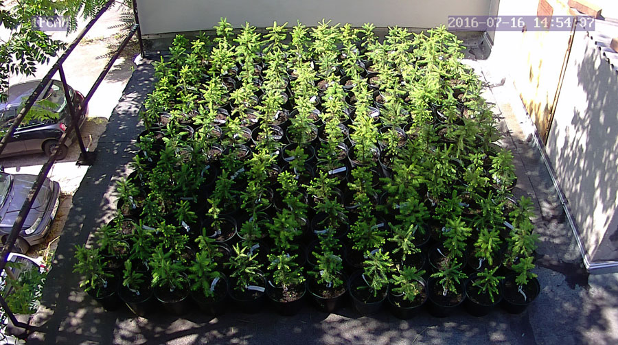 jurgen_ostarhild_144_20160716