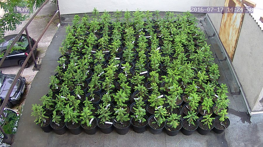 jurgen_ostarhild_144_20160717