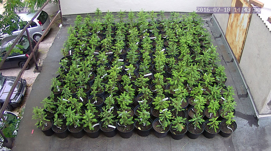 jurgen_ostarhild_144_20160718