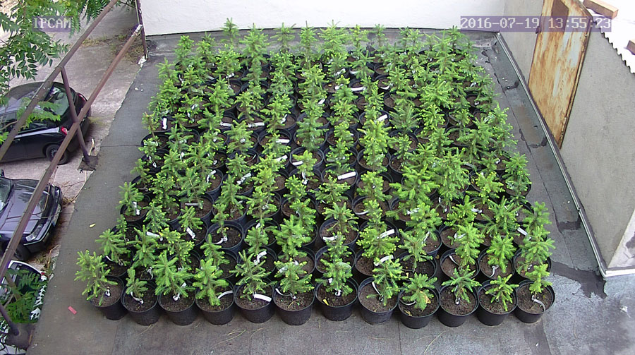 jurgen_ostarhild_144_20160719