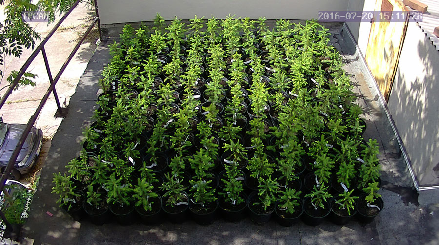 jurgen_ostarhild_144_20160720