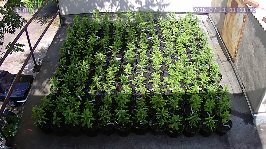 jurgen_ostarhild_144_20160721