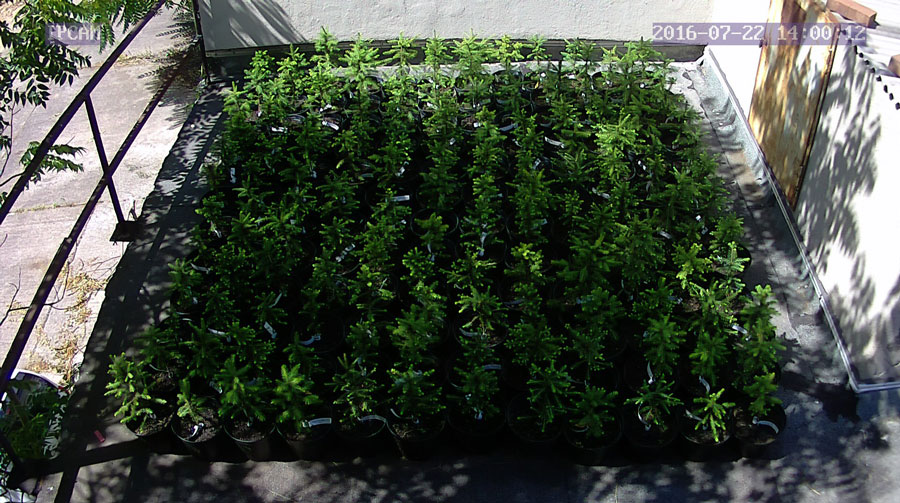 jurgen_ostarhild_144_20160722