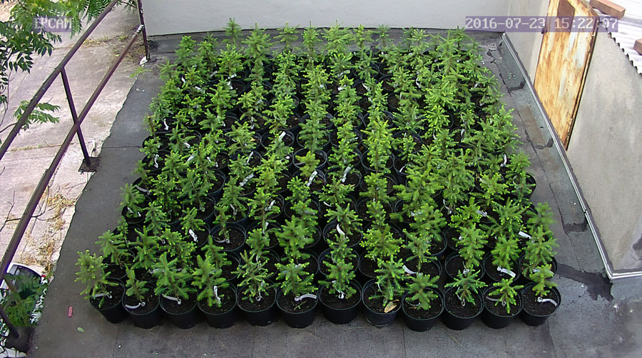 jurgen_ostarhild_144_20160723