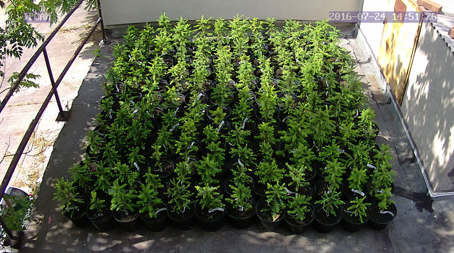 jurgen_ostarhild_144_20160724