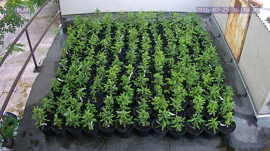 jurgen_ostarhild_144_20160725