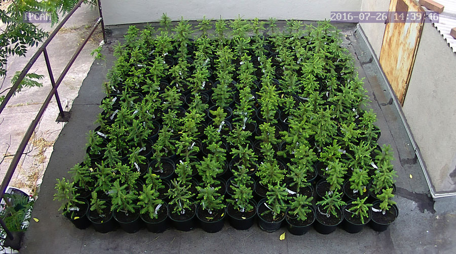 jurgen_ostarhild_144_20160726