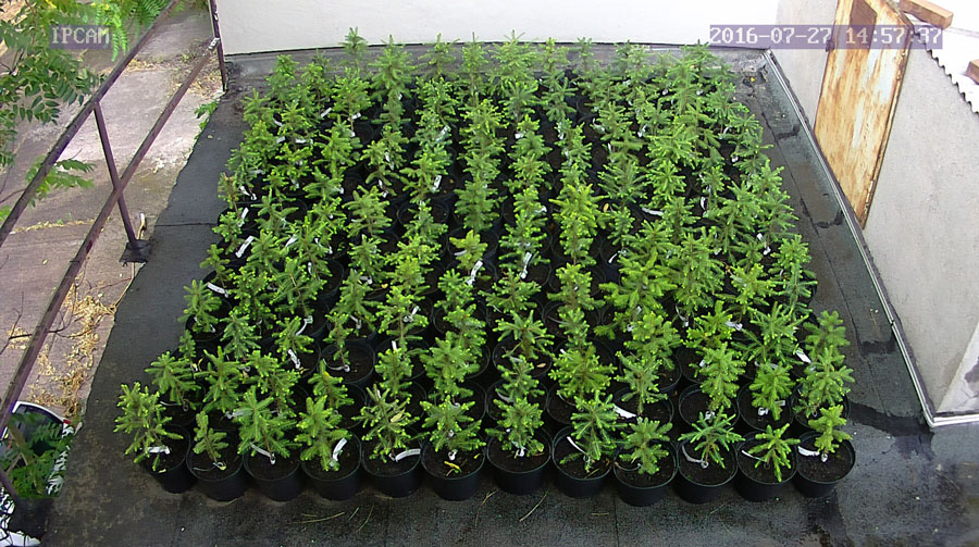 jurgen_ostarhild_144_20160727