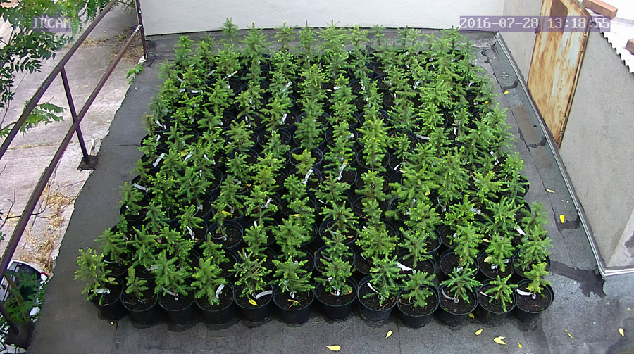 jurgen_ostarhild_144_20160728