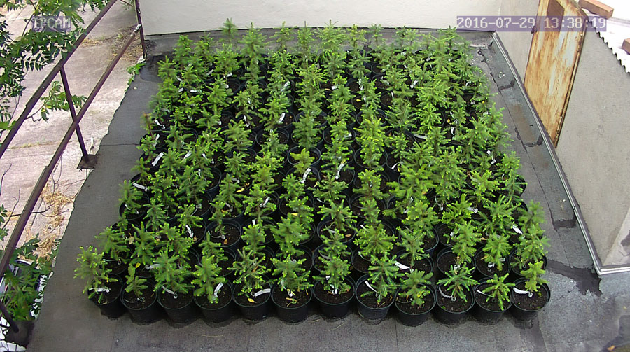 jurgen_ostarhild_144_20160729