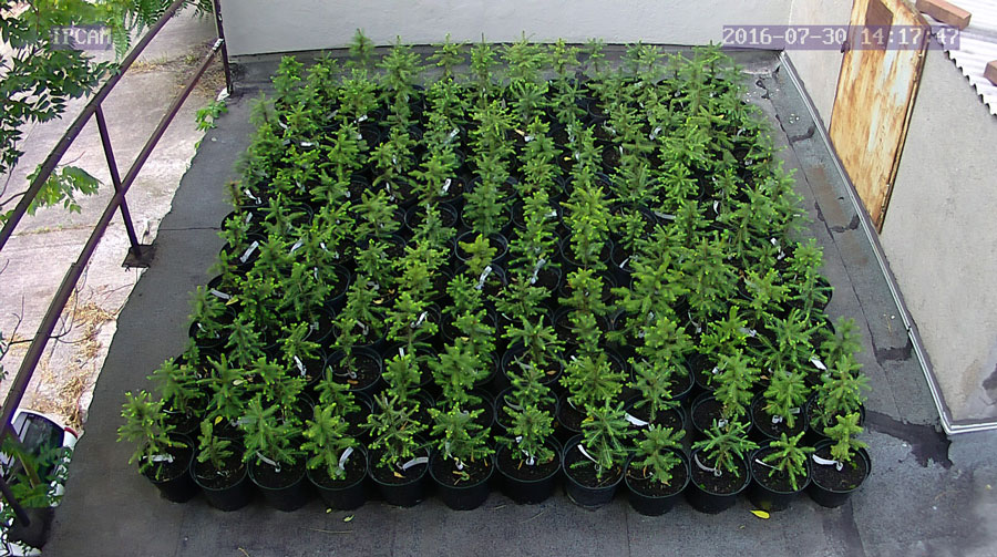 jurgen_ostarhild_144_20160730