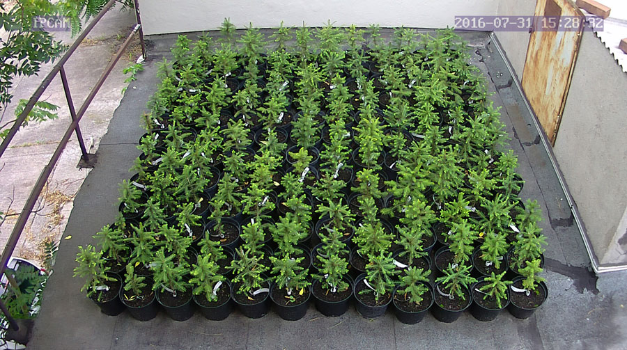 jurgen_ostarhild_144_20160731