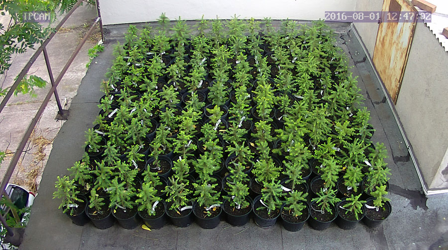 jurgen_ostarhild_144_20160801