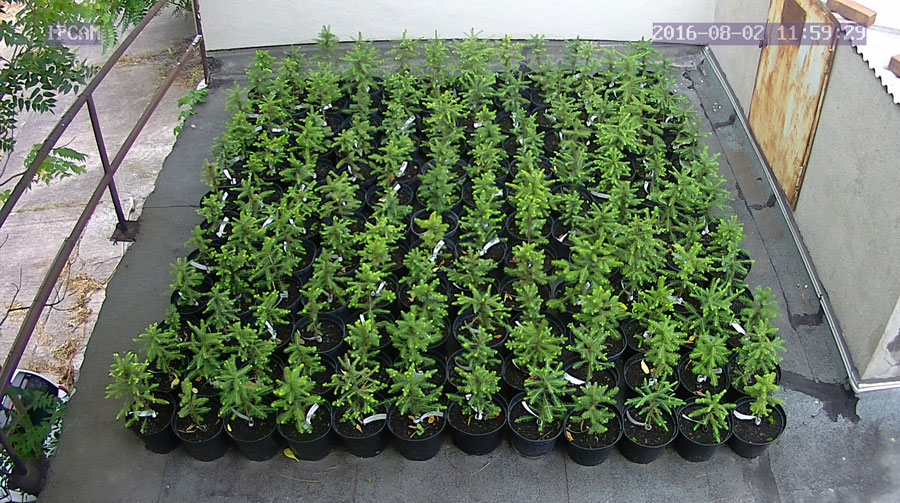 jurgen_ostarhild_144_20160802