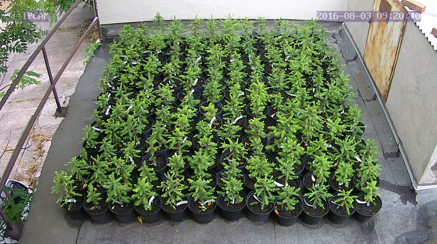 jurgen_ostarhild_144_20160803