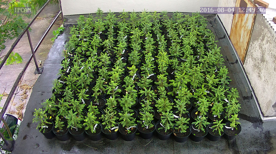 jurgen_ostarhild_144_20160804