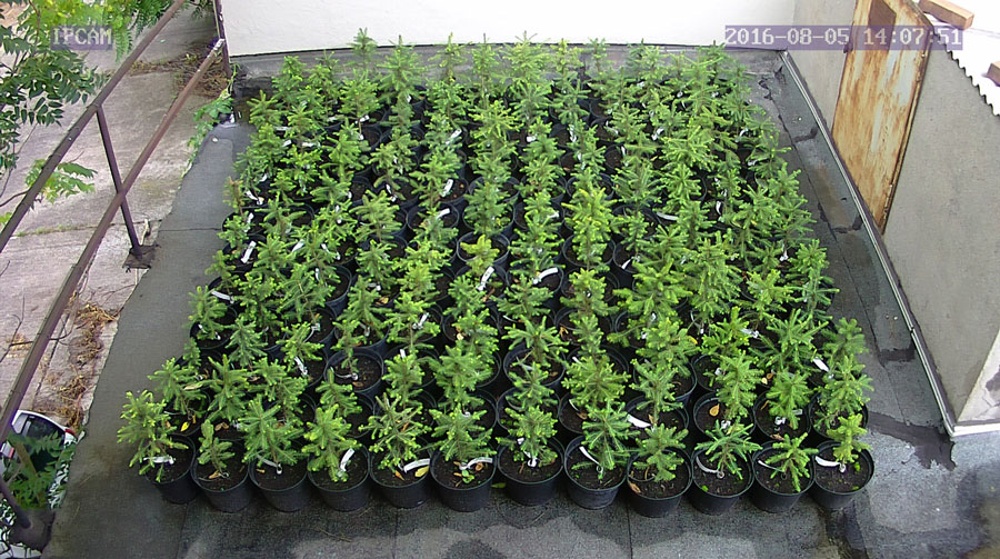 jurgen_ostarhild_144_20160805