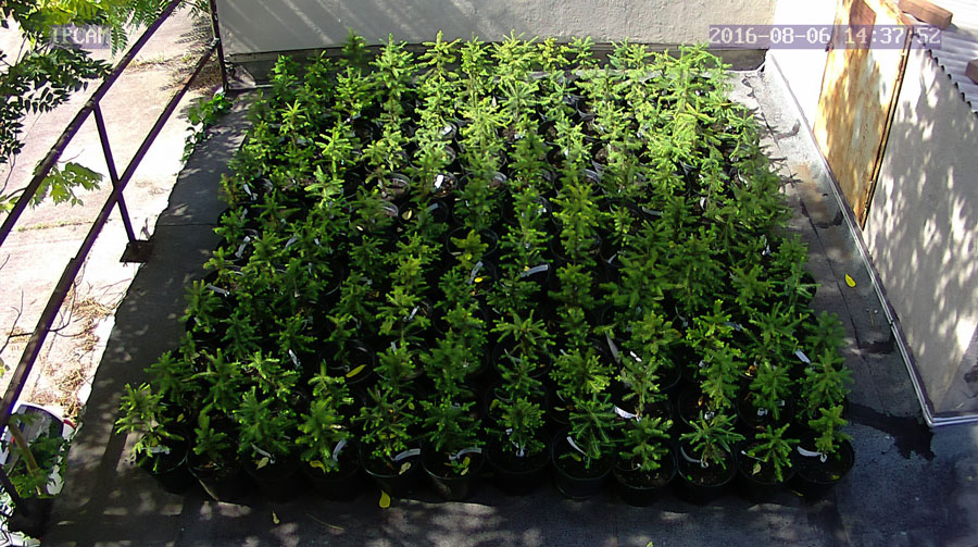 jurgen_ostarhild_144_20160806