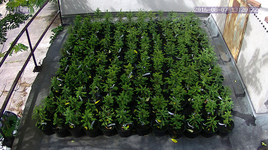 jurgen_ostarhild_144_20160807