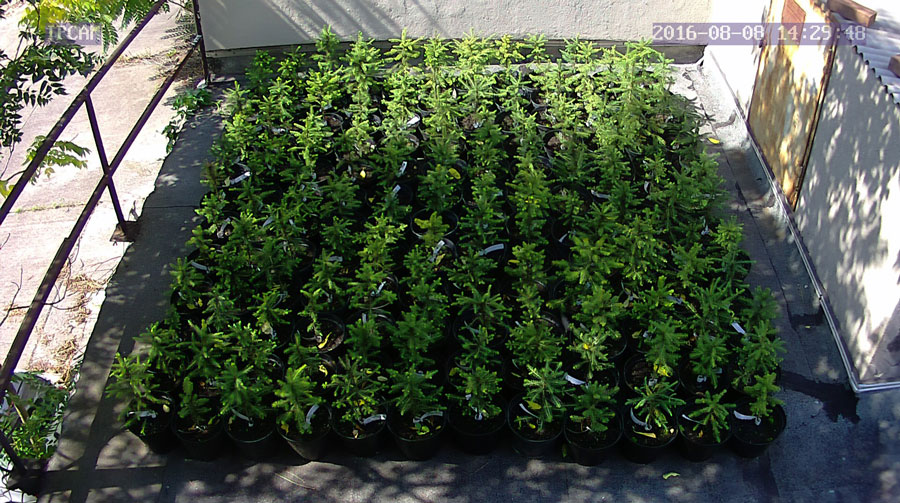 jurgen_ostarhild_144_20160808